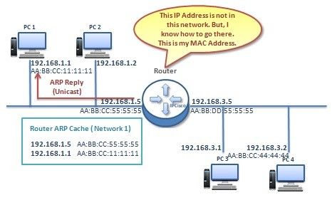 The curious case of ARP Netmask